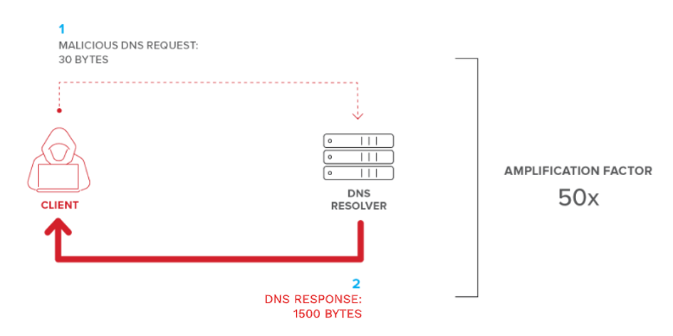 DNS Amplification Attack Nedir?