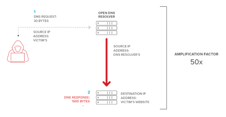 DNS Amplification Attack Nedir?