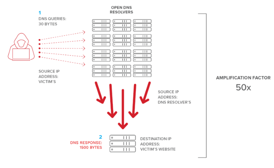 DNS Amplification Attack Nedir?