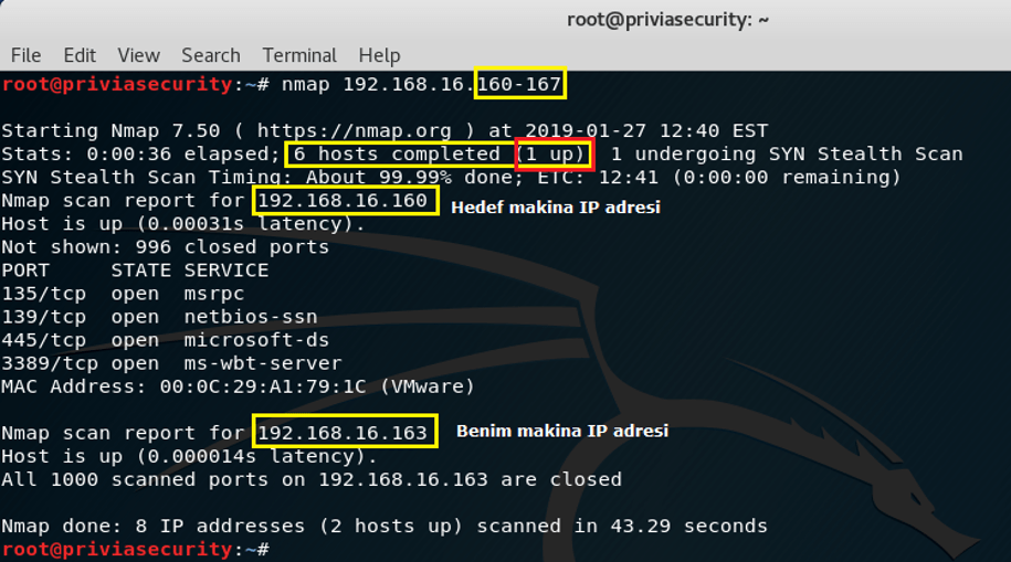 Nmap Nedir?