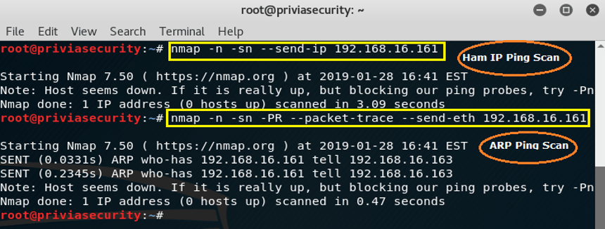 Nmap Nedir?